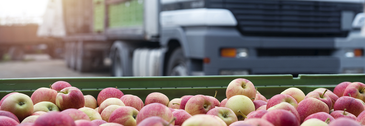 Äpplen som tarnsporteras av lastbilar